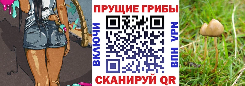 Галлюциногенные грибы GOLDEN TEACHER  Теберда 