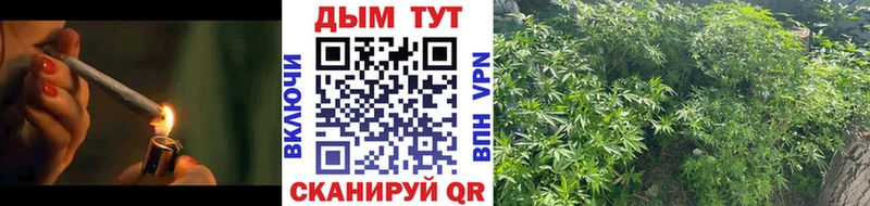 купить закладку Теберда Бошки марихуана гибрид